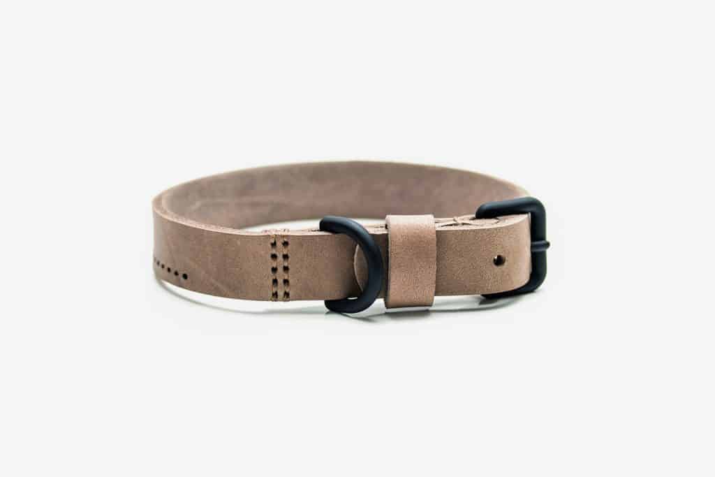 the leather collar