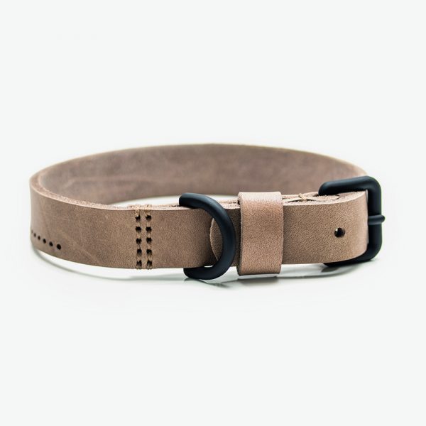 the leather dog collar
