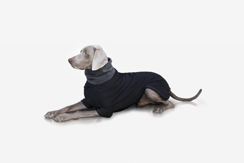 technical sweater for dogs
