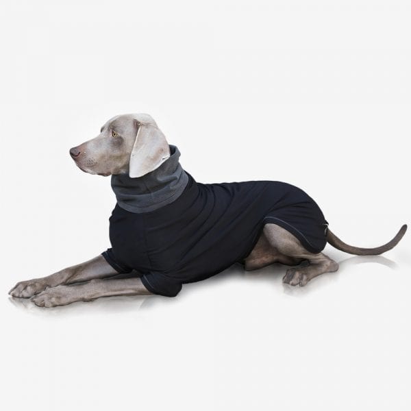technical sweater for dogs