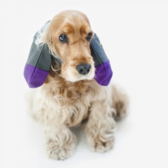 Proteggi orecchie per cani ad orecchie lunghe