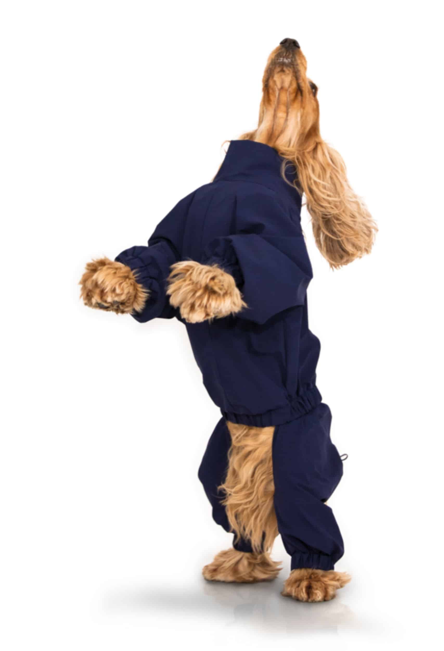 the waterproof suit for dogs